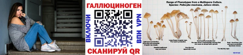 Галлюциногенные грибы Psilocybine cubensis  MEGA ссылки  Кыштым  купить  цена 